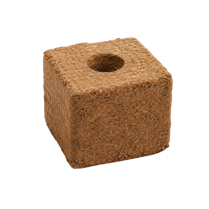 GramiGrow propagation block with planting hole